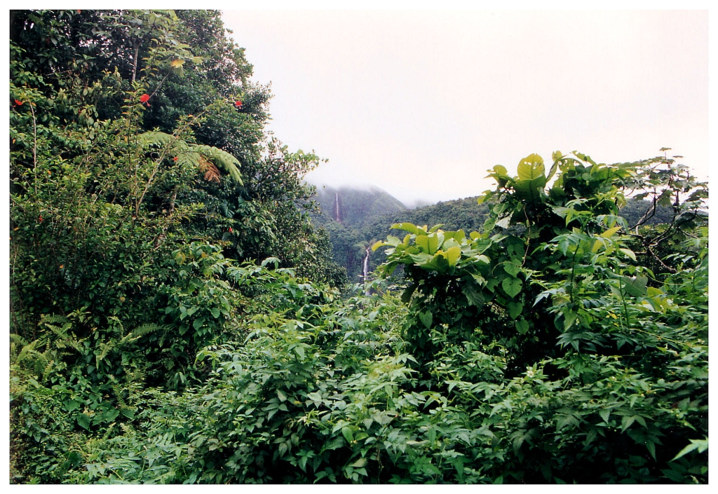 06 - Chutes du Carbet (1).jpg